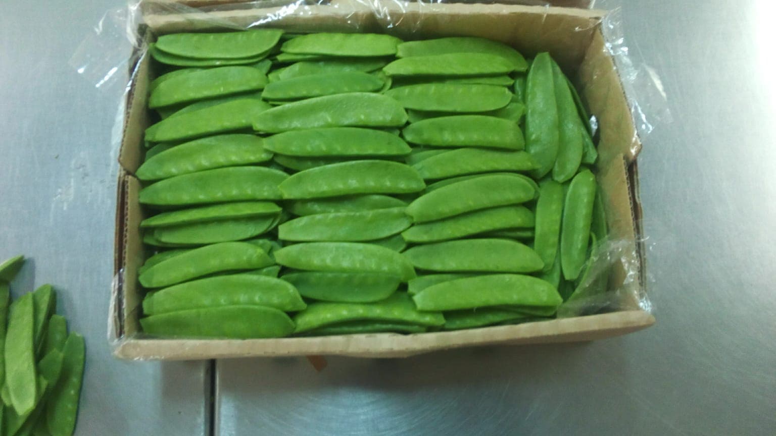 Snow Peas's profile