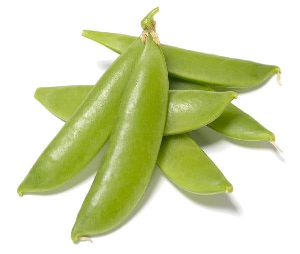 Sugar Snap's profile